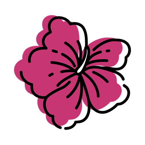 ハイビスカス
