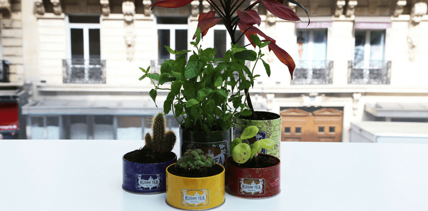 DIYアイデア №1 - 空き缶を利用してプランターを作ろう｜クスミティー