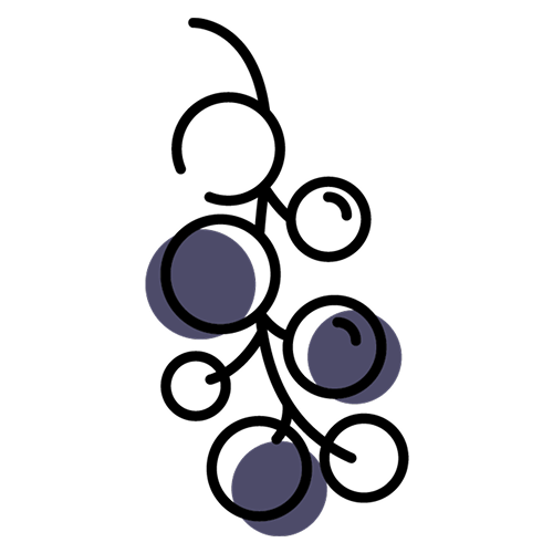 ブラックベリー