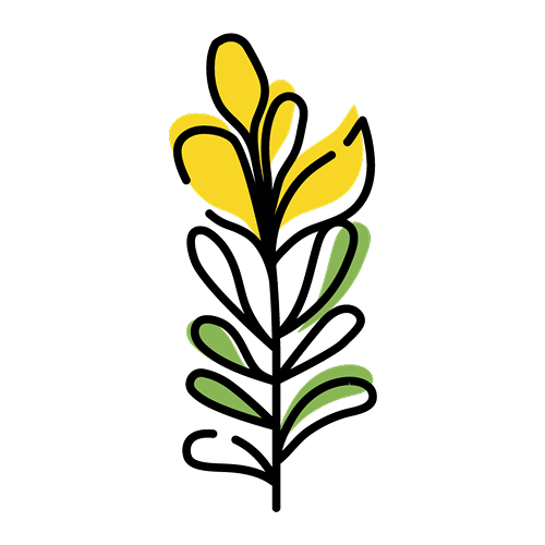 ハニーブッシュ