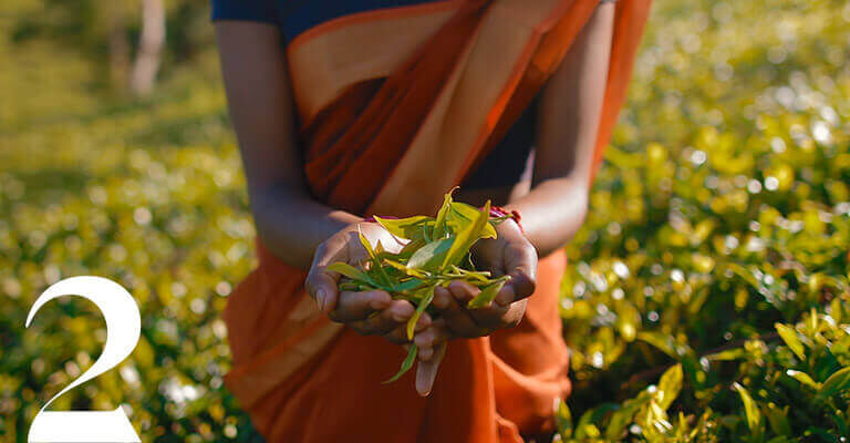 社会的責任に対するコミットメントの表明