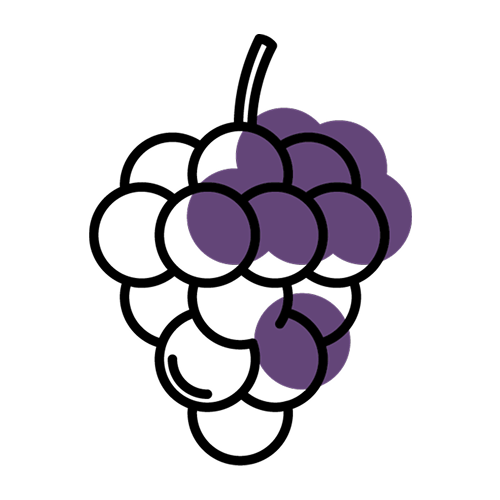 ブドウ