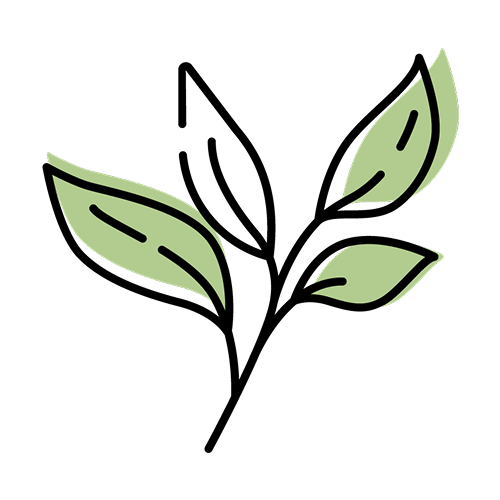 ホワイトティー