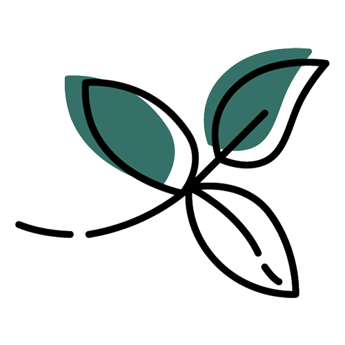 ブラックティー