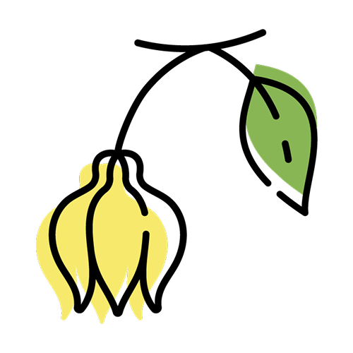 イランイラン